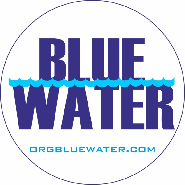 Organizacion Bluewater